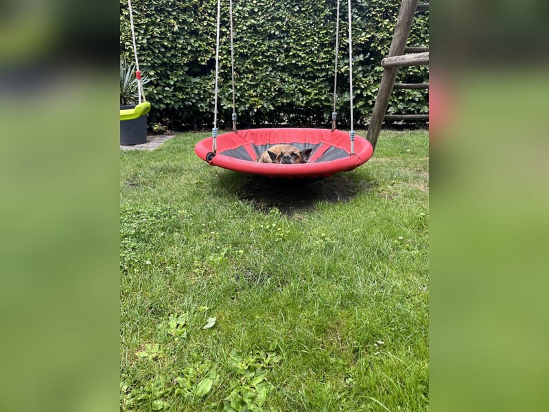 Snickers sucht ein neues Zuhause!