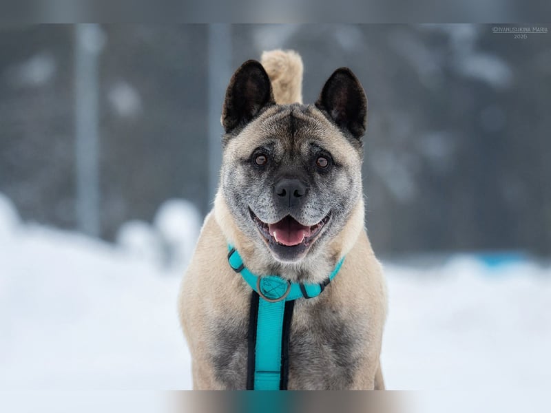 Freundliche Juta sucht ihre Menschen