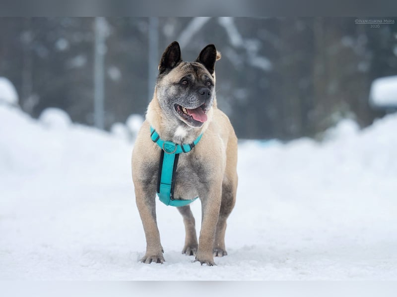 Freundliche Juta sucht liebevolles Zuhause