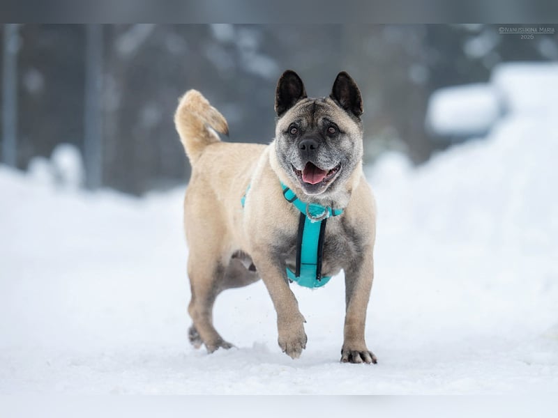 Freundliche Juta sucht liebevolles Zuhause