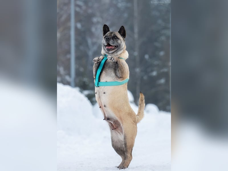 Freundliche Juta sucht liebevolles Zuhause