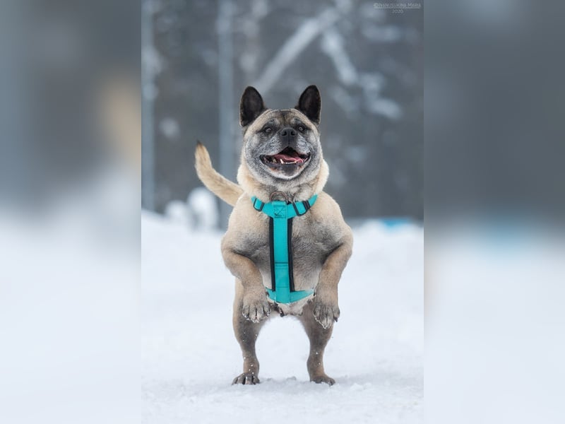 Freundliche Juta sucht liebevolles Zuhause