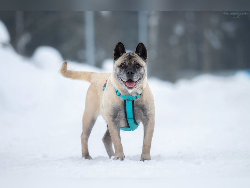 Freundliche Juta sucht liebevolles Zuhause