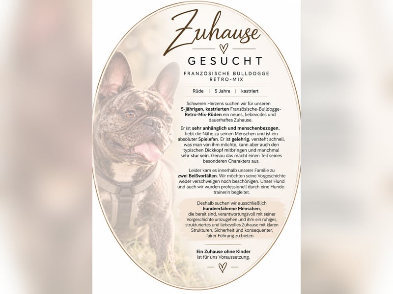 Französische Bulldogge Retro-Mix