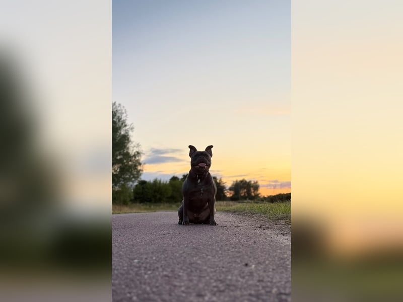 Unsere Erna Sucht ihr liebevolles Zuhause für Immer