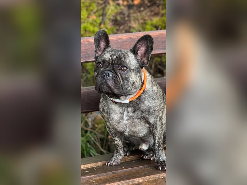 6 jähriger lieber Rude