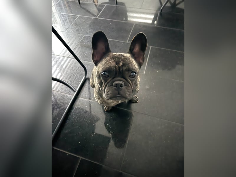 6 jähriger lieber Rude