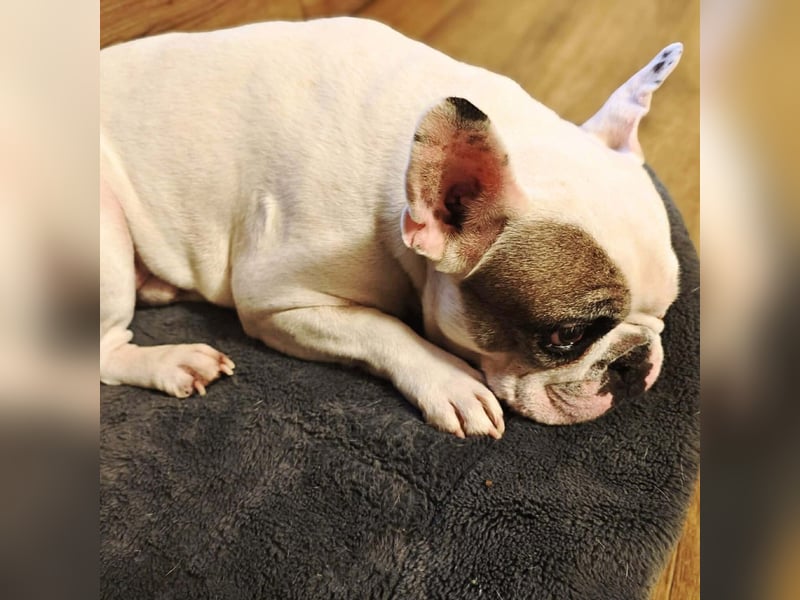 Deejay - ist genügsam