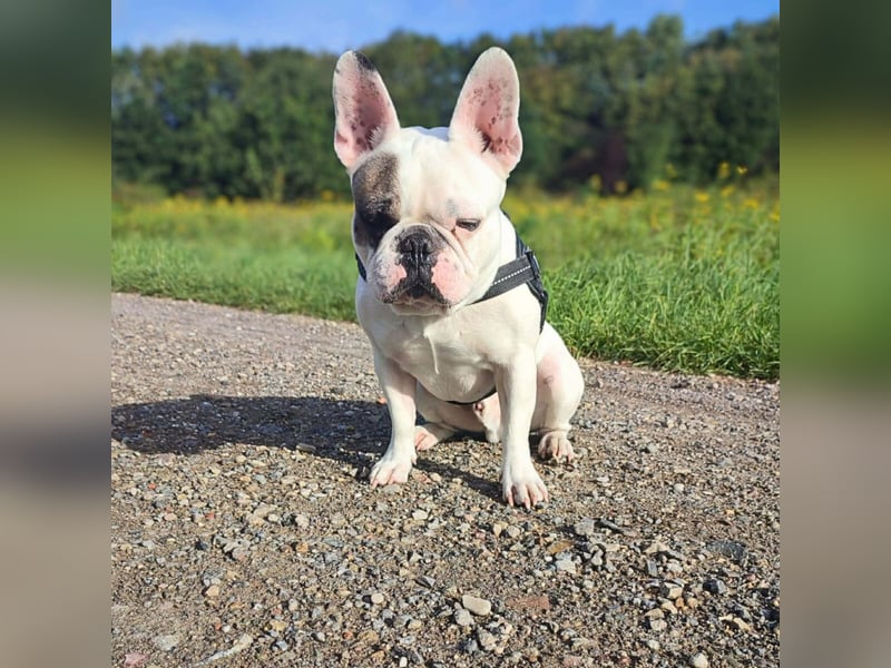 Deejay - ist genügsam