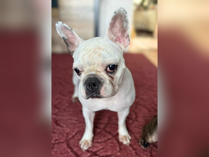 Lulu - ist ausgeglichen