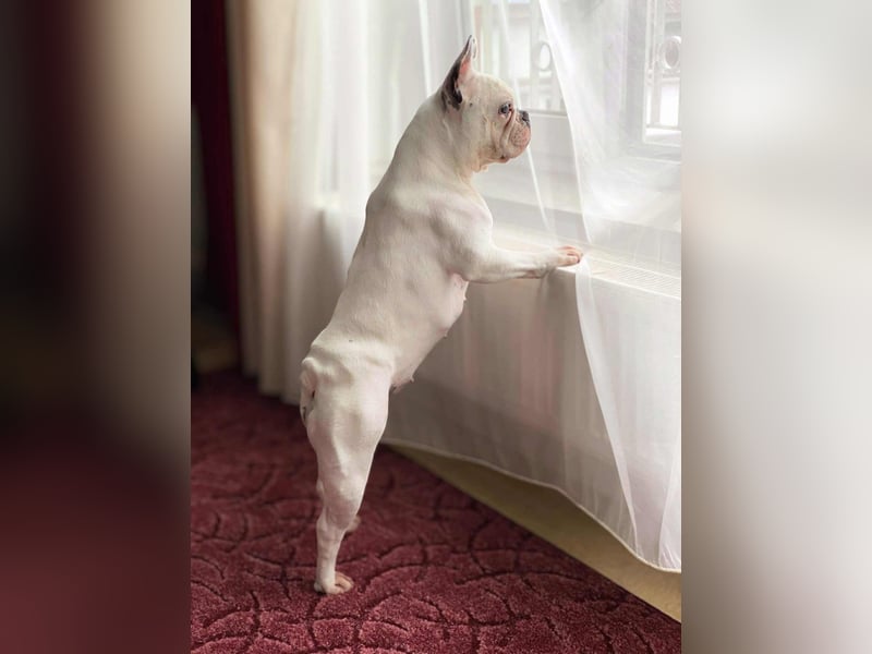 Lulu - ist ausgeglichen