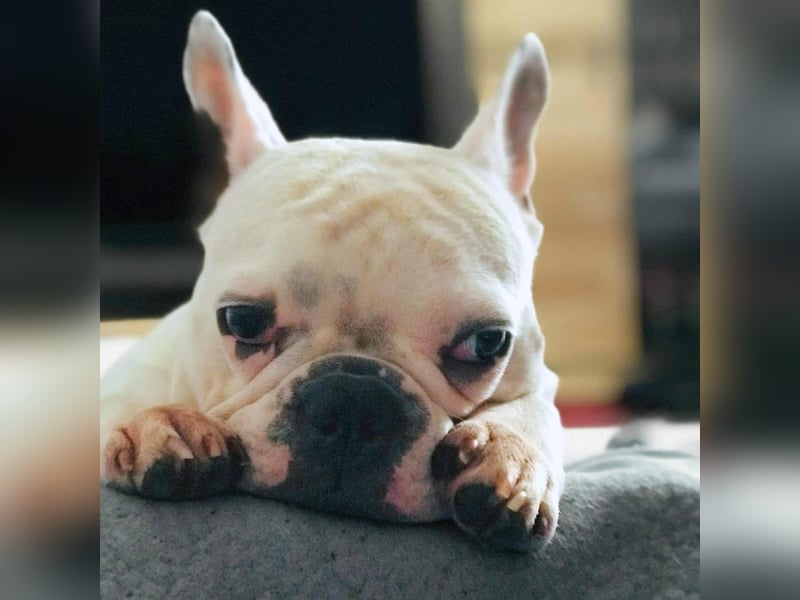 Lulu - ist ausgeglichen