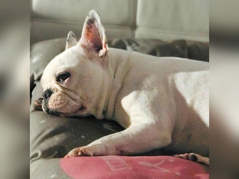 Lulu - ist ausgeglichen