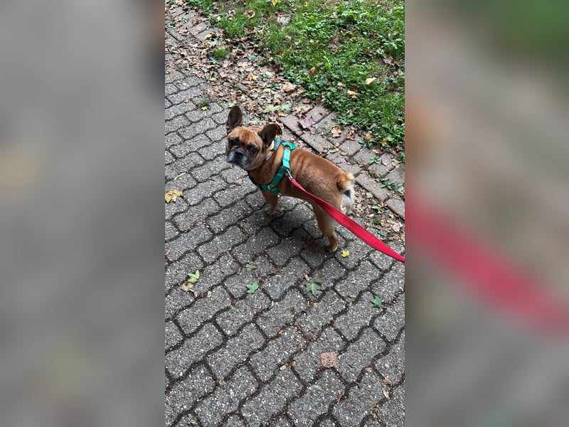 Diego 8 Jahre alt