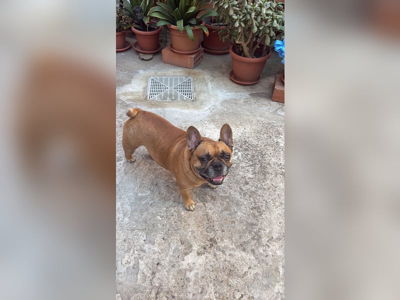 Diego 8 Jahre alt