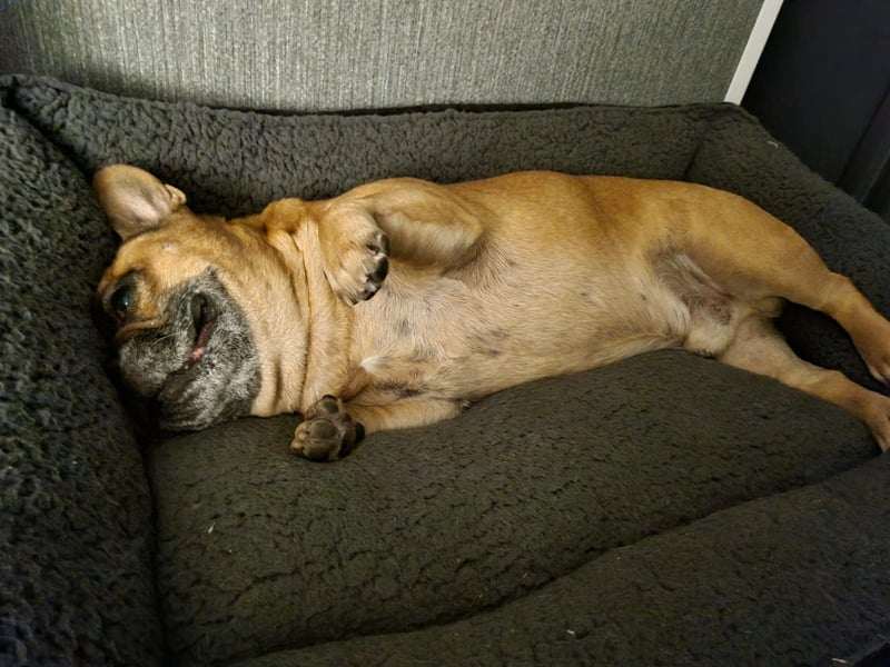 Diego 8 Jahre alt