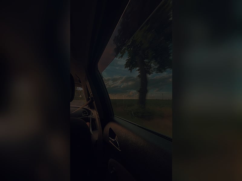 Französische Bulldogge