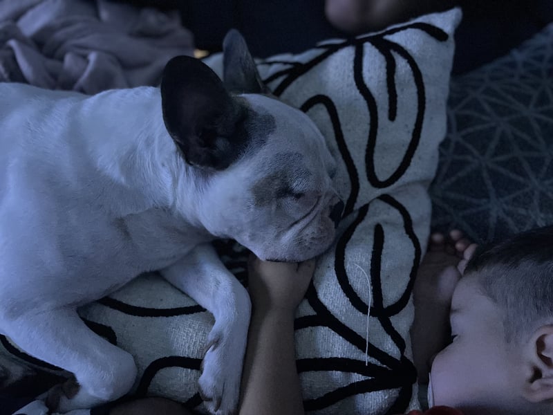 Inge sucht ein neues Zuhause