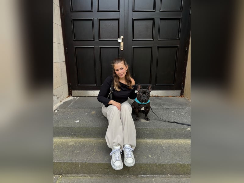 Liebevolle Französische Bulldogge (3,5 Jahre) sucht neues Zuhause
