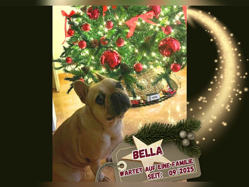 BELLA + ROMEO ! VERMITTLUNG NUR GEMEINSAM !