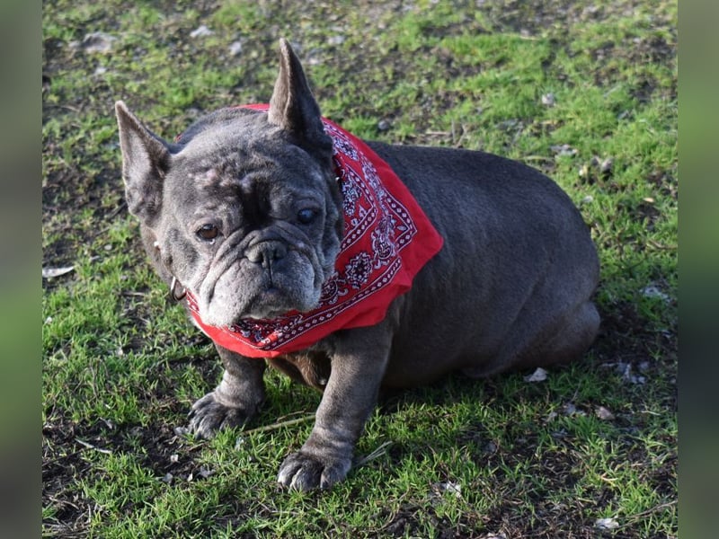 Fleur - ausgenutzt und entsorgt!