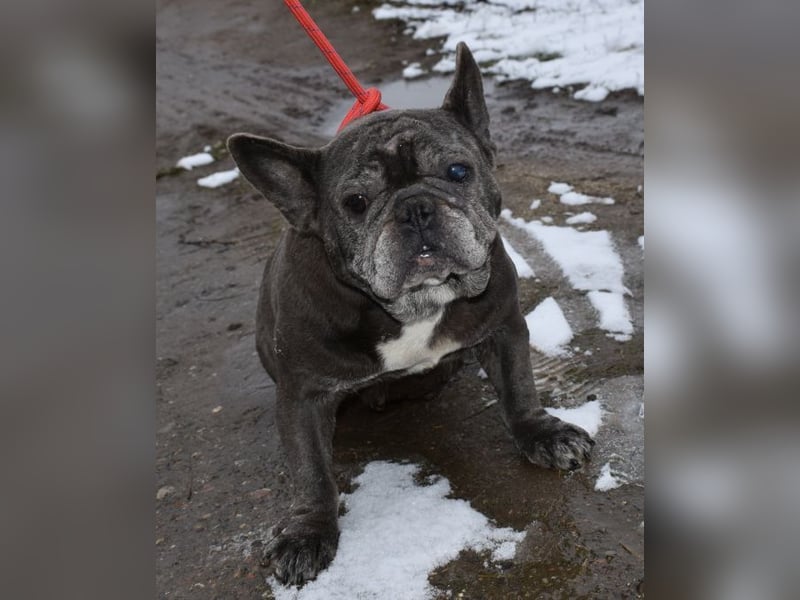 Fleur - ausgenutzt und entsorgt!