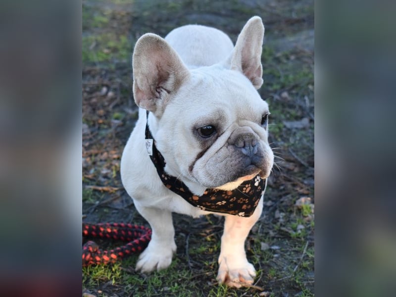 Fanni ausgenutzt und ausgemustert