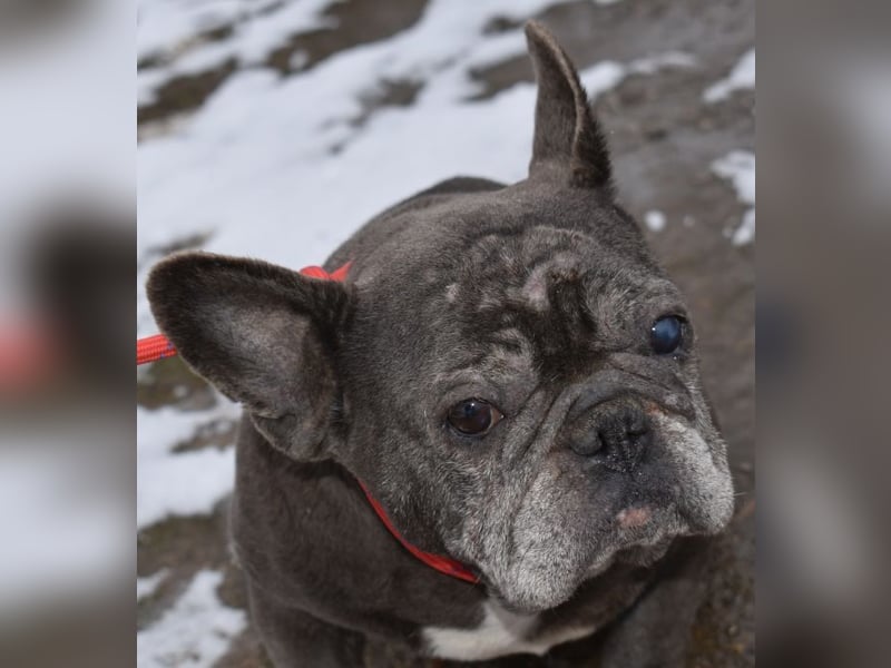 Fleur - ausgenutzt und entsorgt!