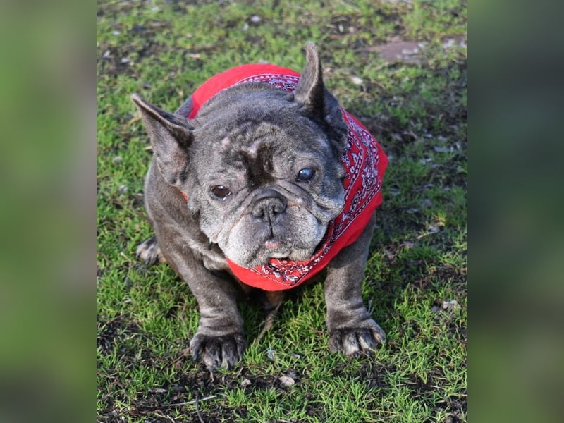 Fleur - ausgenutzt und entsorgt!