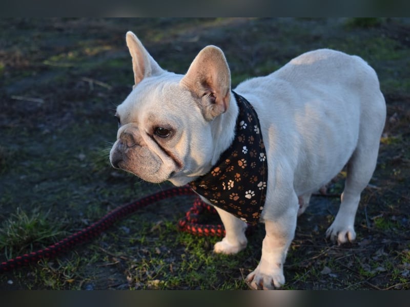 Fanni ausgenutzt und ausgemustert