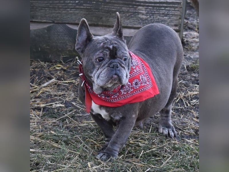 Fleur - ausgenutzt und entsorgt!