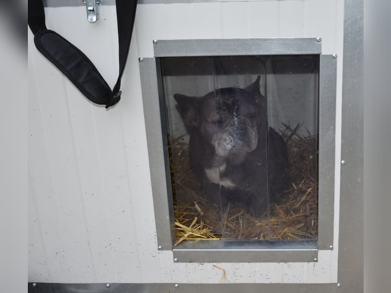Fleur - ausgenutzt und entsorgt!