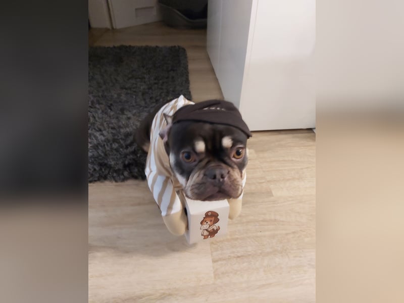 Emmi sucht ein neues Zuhause