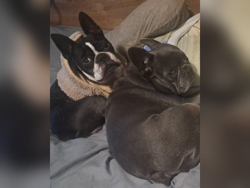 Gonzo&Apollo VA, die Unzertrennlichen