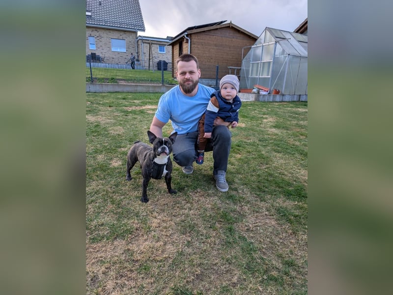 Liebevolles Zuhause für unsere Französische Bulldogge Daenerys (Deni) gesucht ❤️