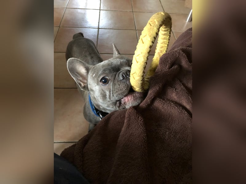 Lilly sucht ein nettes und liebevolles zu Hause