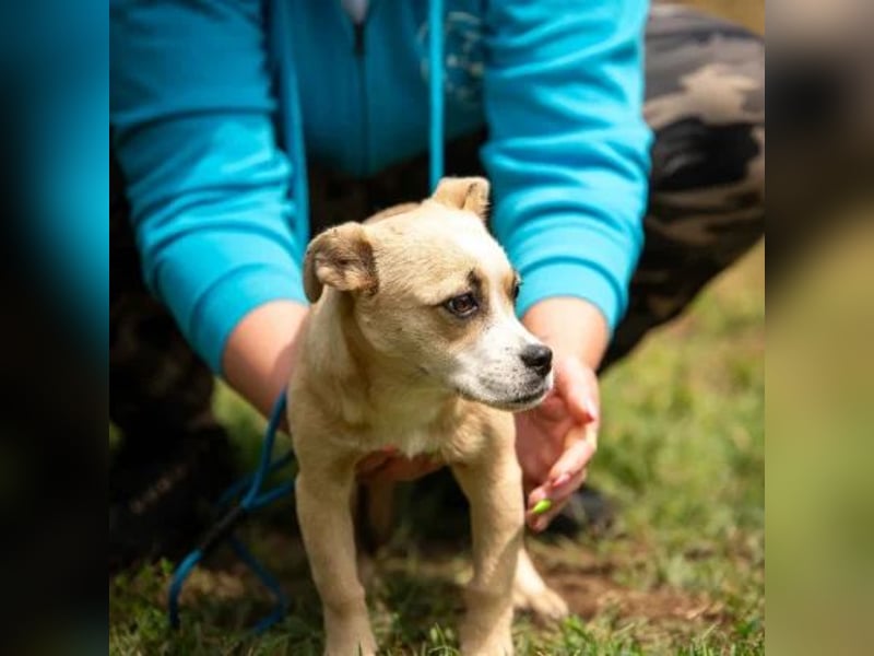 Luan