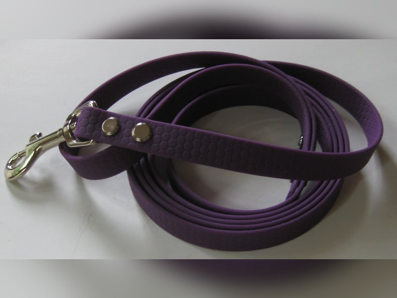 Führleine Hundeleine 2m mit Handschlaufe Biothane Hexa