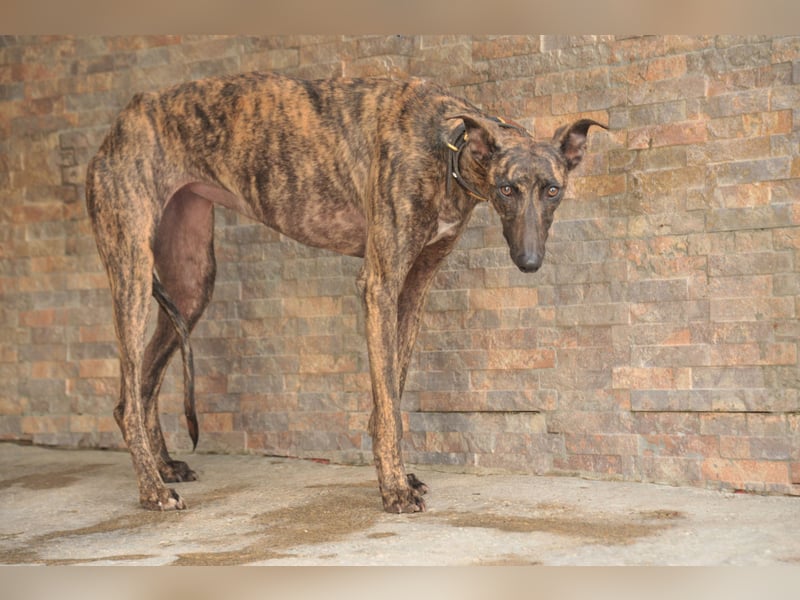 Wird Nani von dir gesehen?