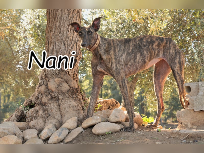 Wird Nani von dir gesehen?