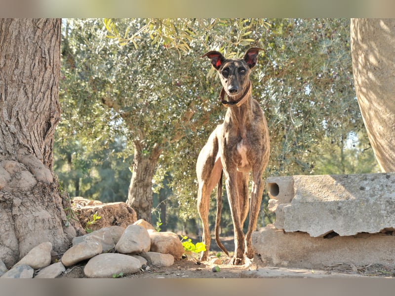 Wird Nani von dir gesehen?