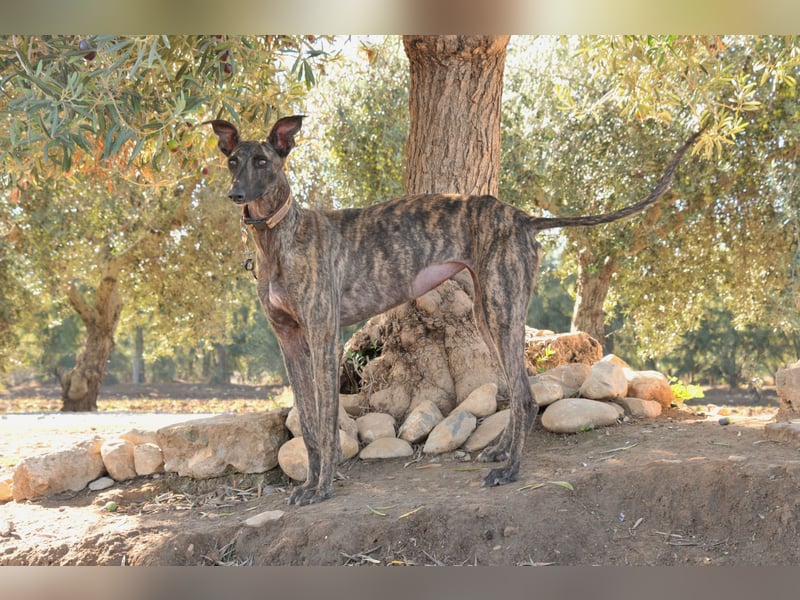 Wird Nani von dir gesehen?