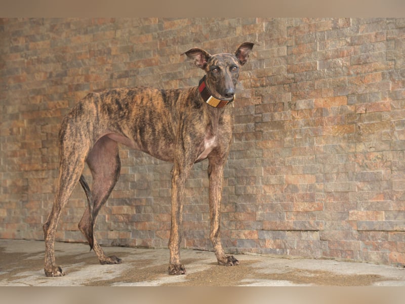 Wird Nani von dir gesehen?