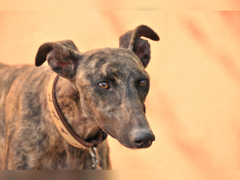 Wird Nani von dir gesehen?