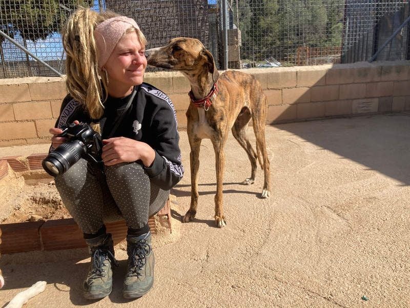 Wundervoller FITO-verspielt, menschschnfreundlich will endlich ein liebevolles Für-immer-Zuhause