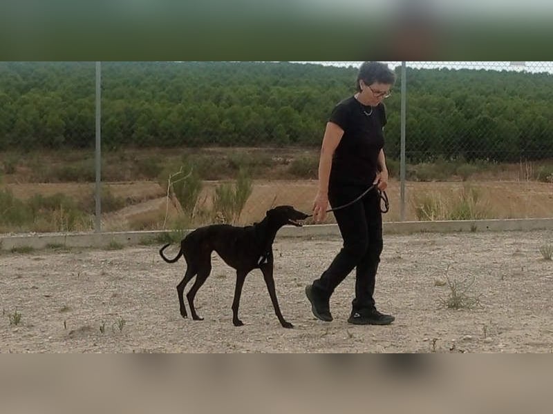 RASMIA-Lebensfreude pur sucht liebevolles, aktives Für-immer-Zuhause