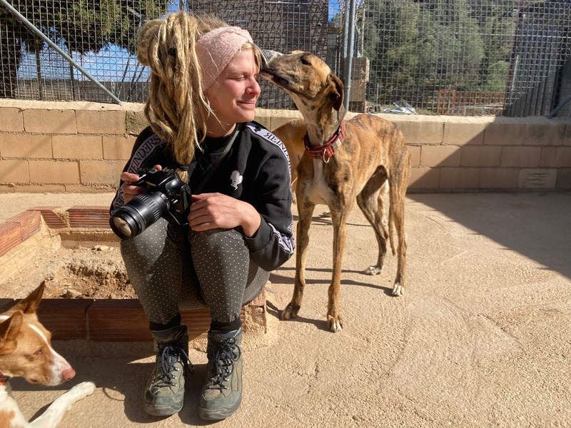 Wundervoller FITO-verspielt, menschschnfreundlich will endlich ein liebevolles Für-immer-Zuhause