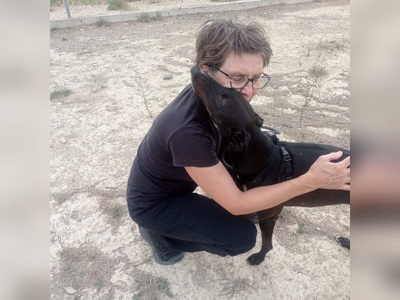 RASMIA-Lebensfreude pur sucht liebevolles, aktives Für-immer-Zuhause