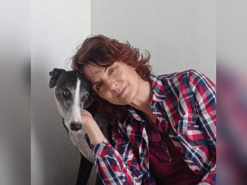 NAVARRA-schüchterne Galga auf der Suche nach Liebe und Geborgenheit