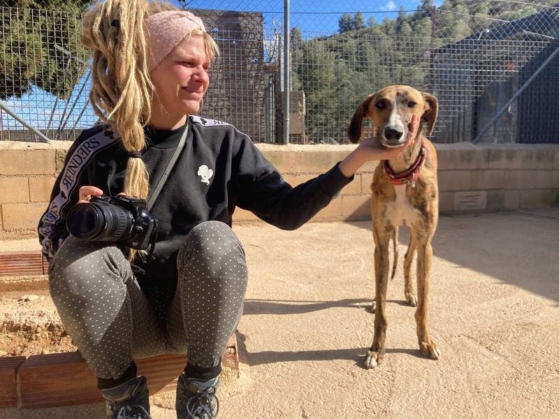 Wundervoller FITO-verspielt, menschschnfreundlich will endlich ein liebevolles Für-immer-Zuhause